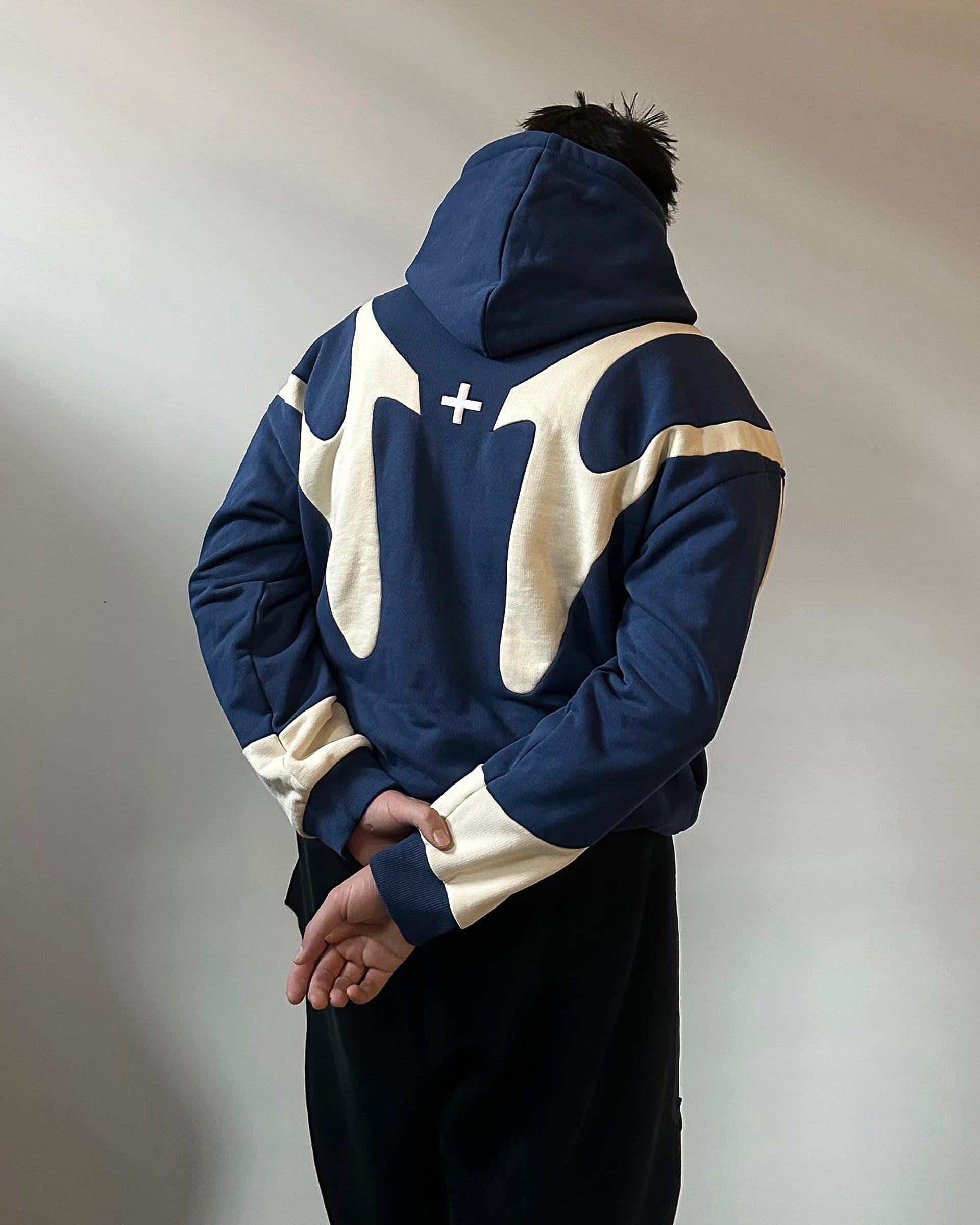 HOODIES-SWEATS Pegasus