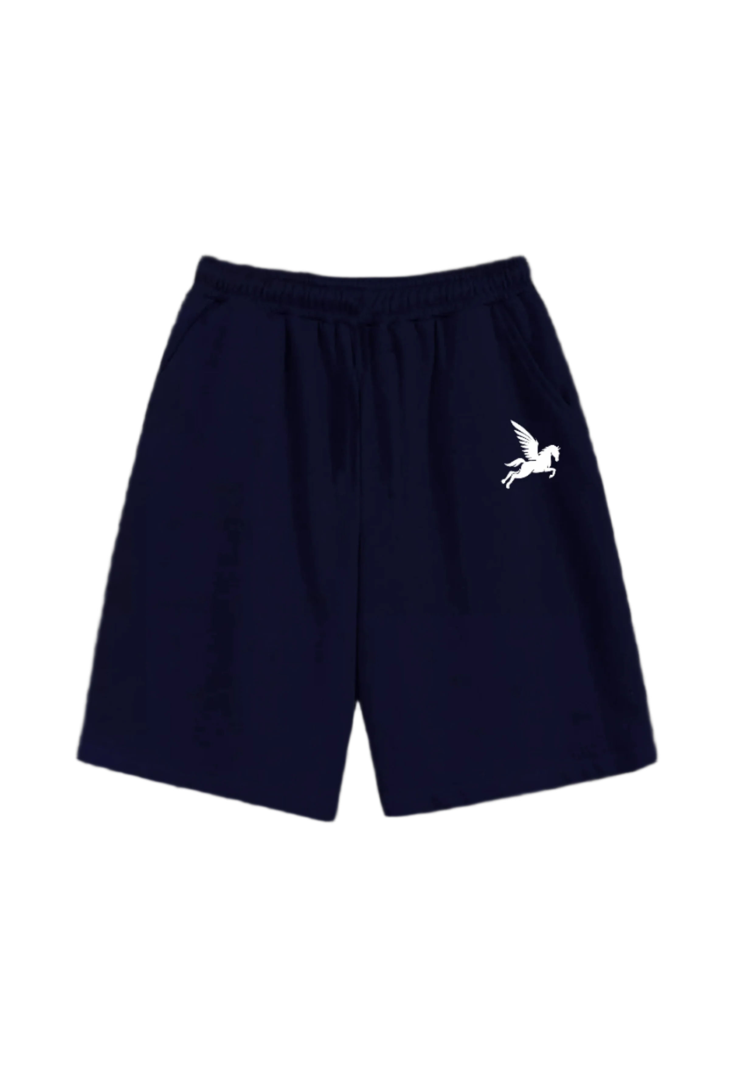 Navy Blue Basic Shorts Pegasus