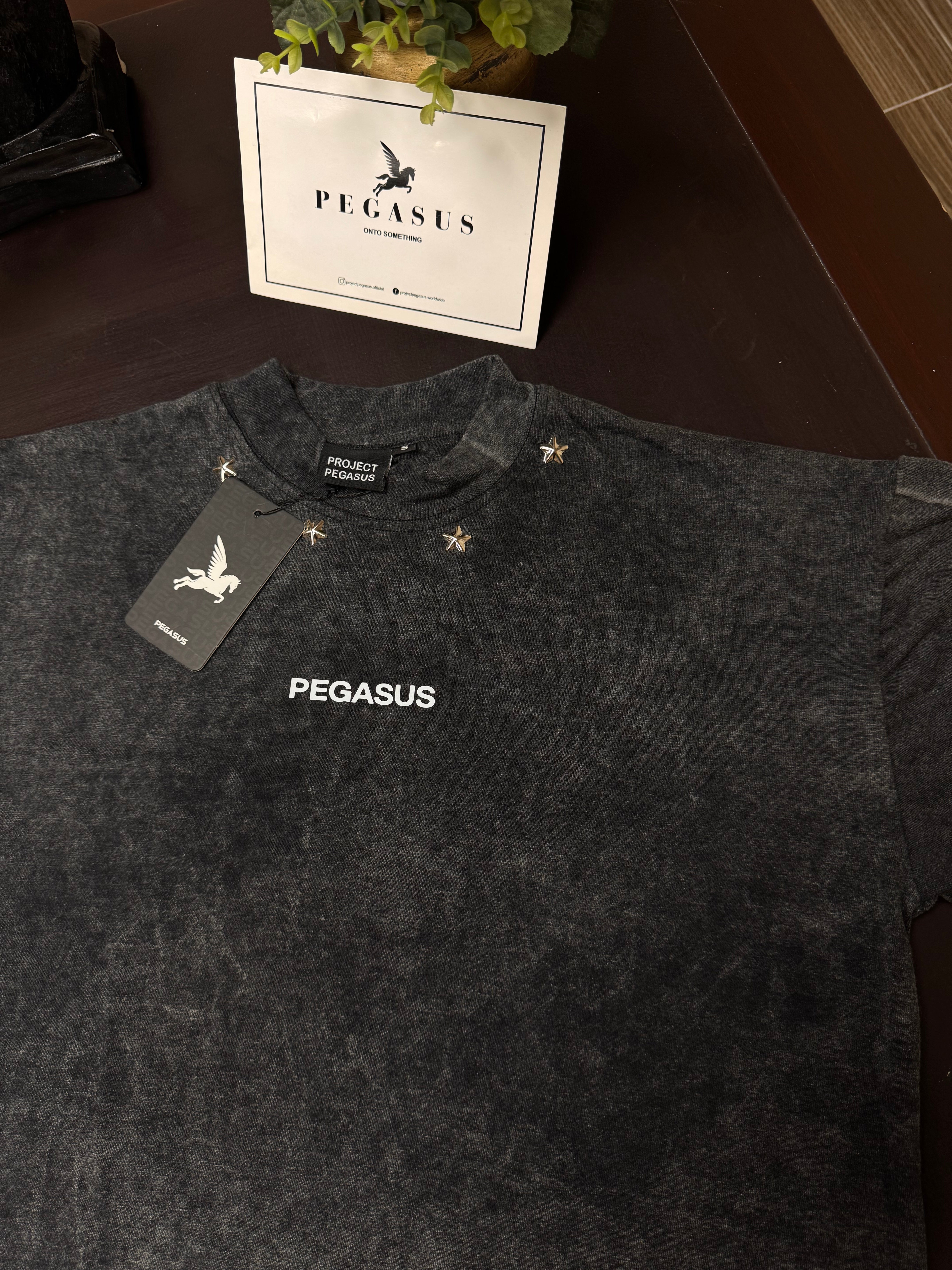 ACID WASH T-SHIRT - STAR EDITION Pegasus