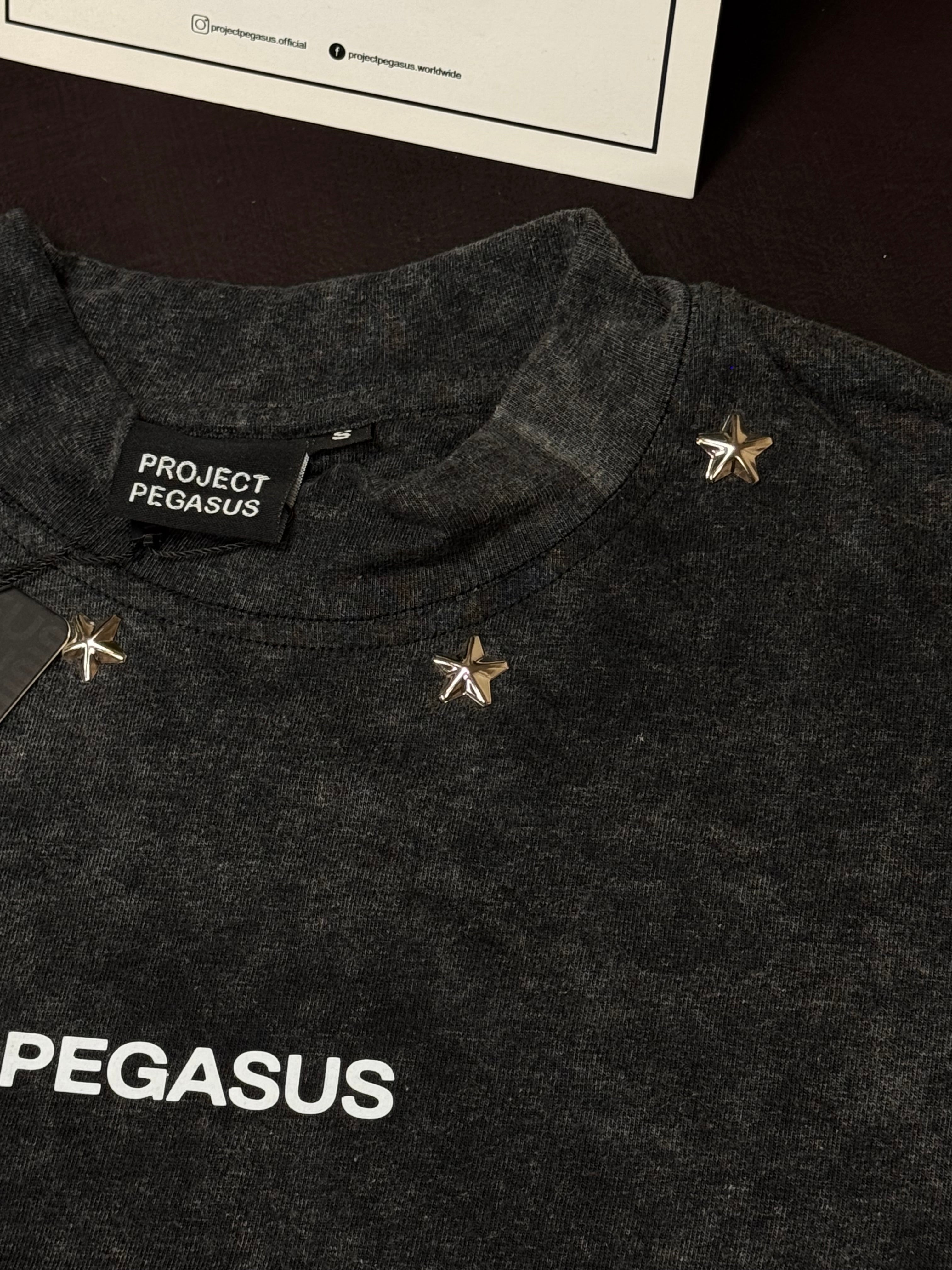 ACID WASH T-SHIRT - STAR EDITION Pegasus