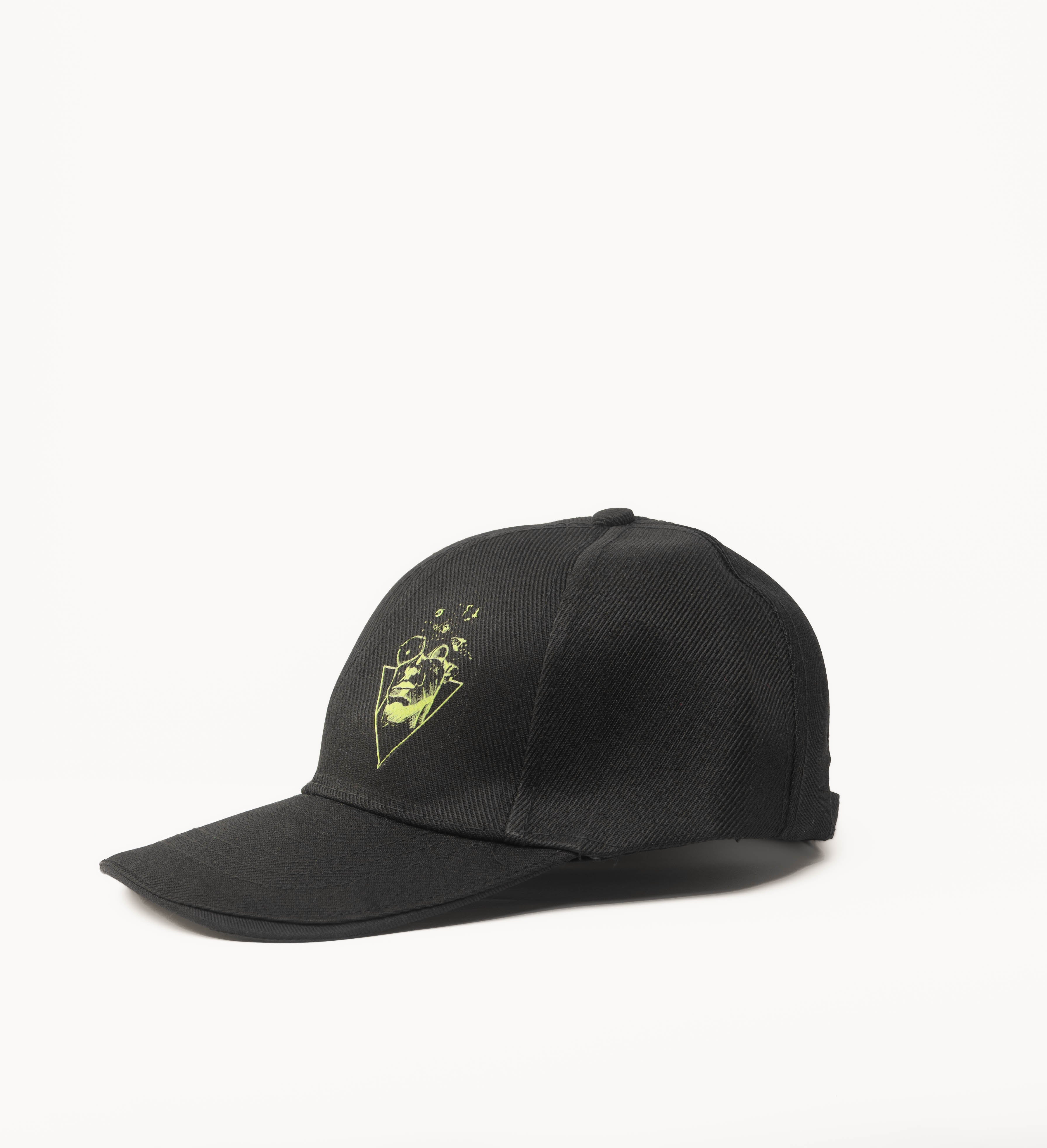 SIGNATURE PEGASUS CAP Pegasus