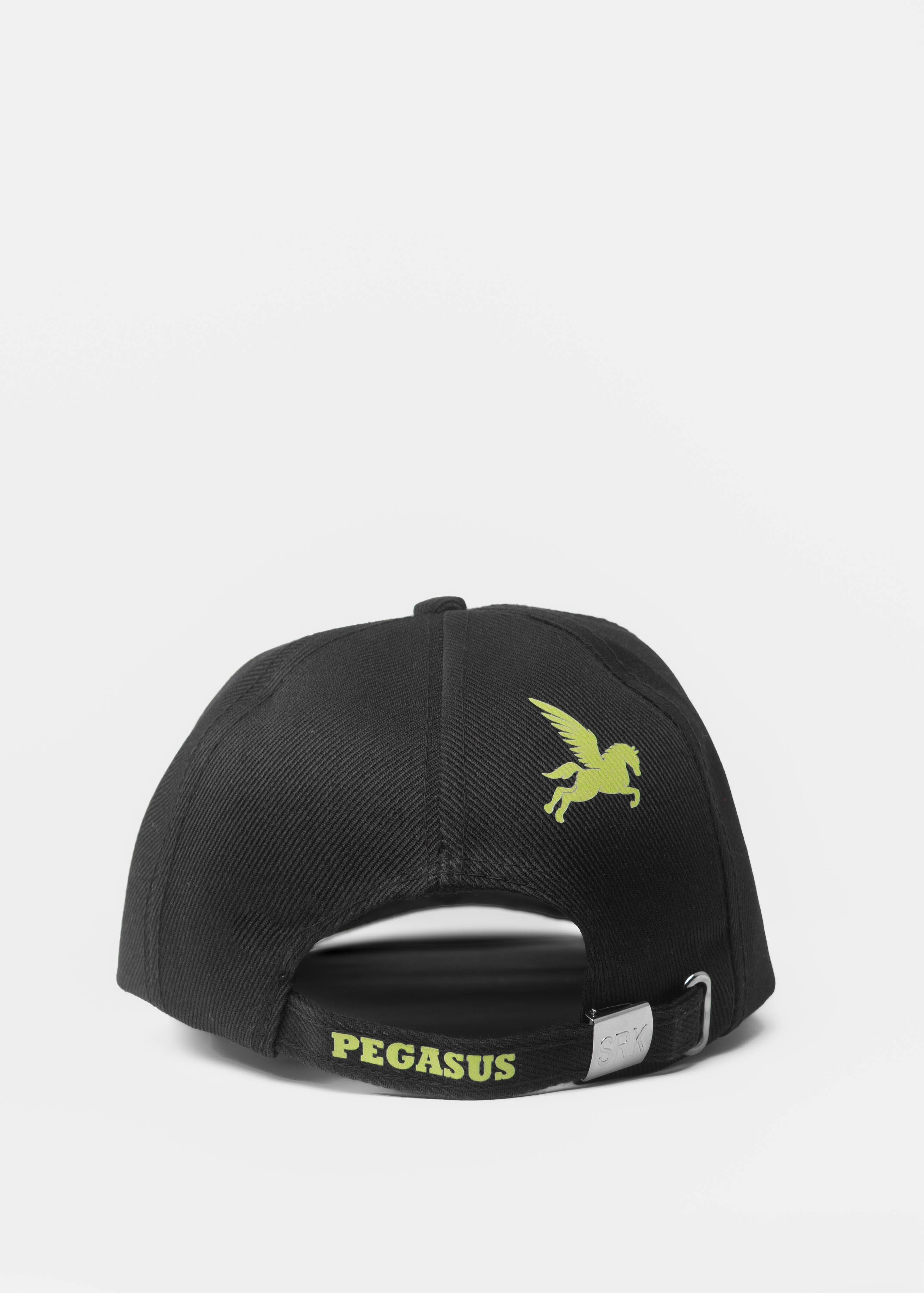 SIGNATURE PEGASUS CAP Pegasus