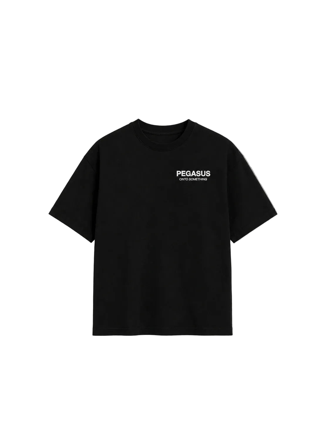 Creatives are Athletes Project Pegasus