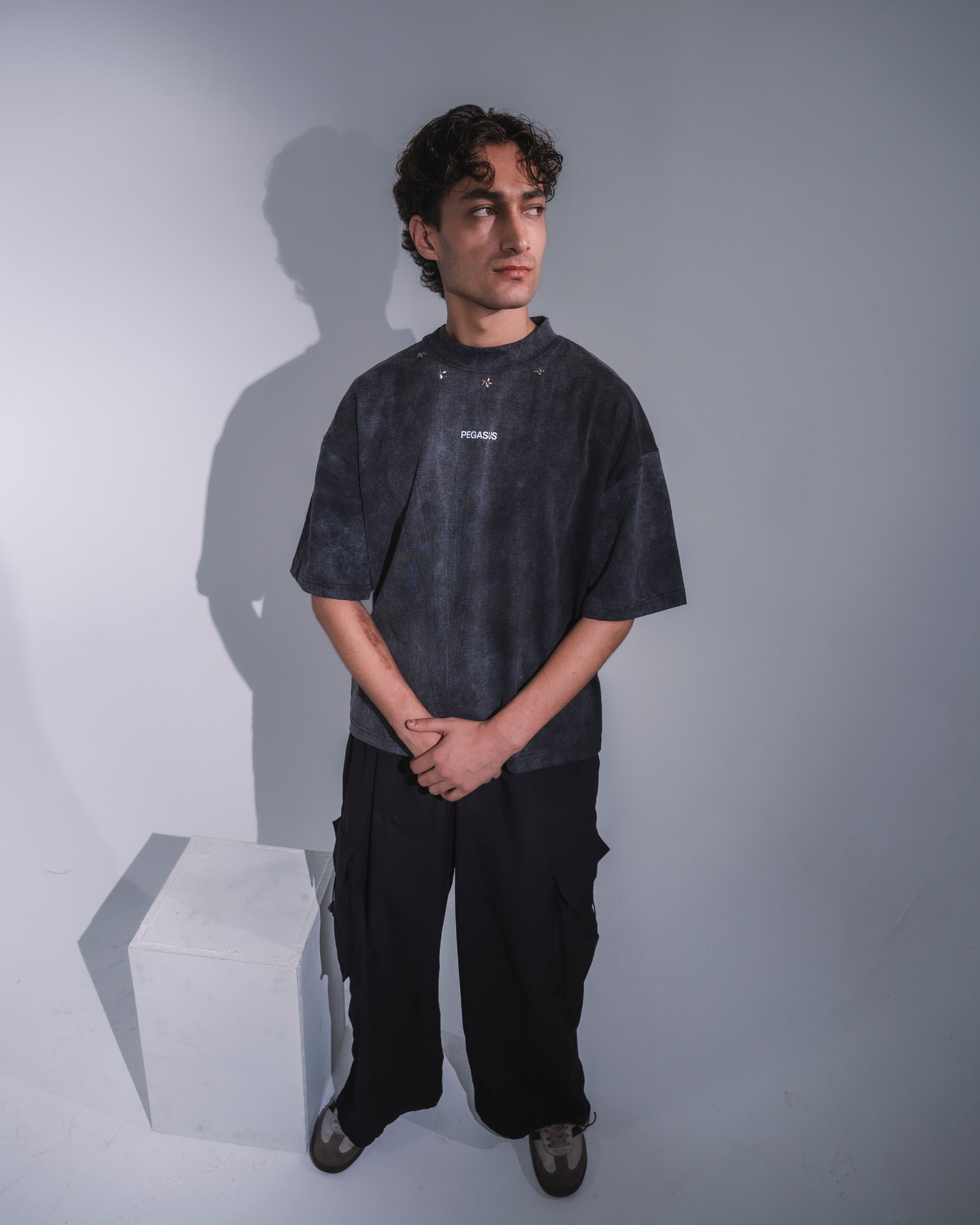 ACID WASH T-SHIRT - STAR EDITION Pegasus
