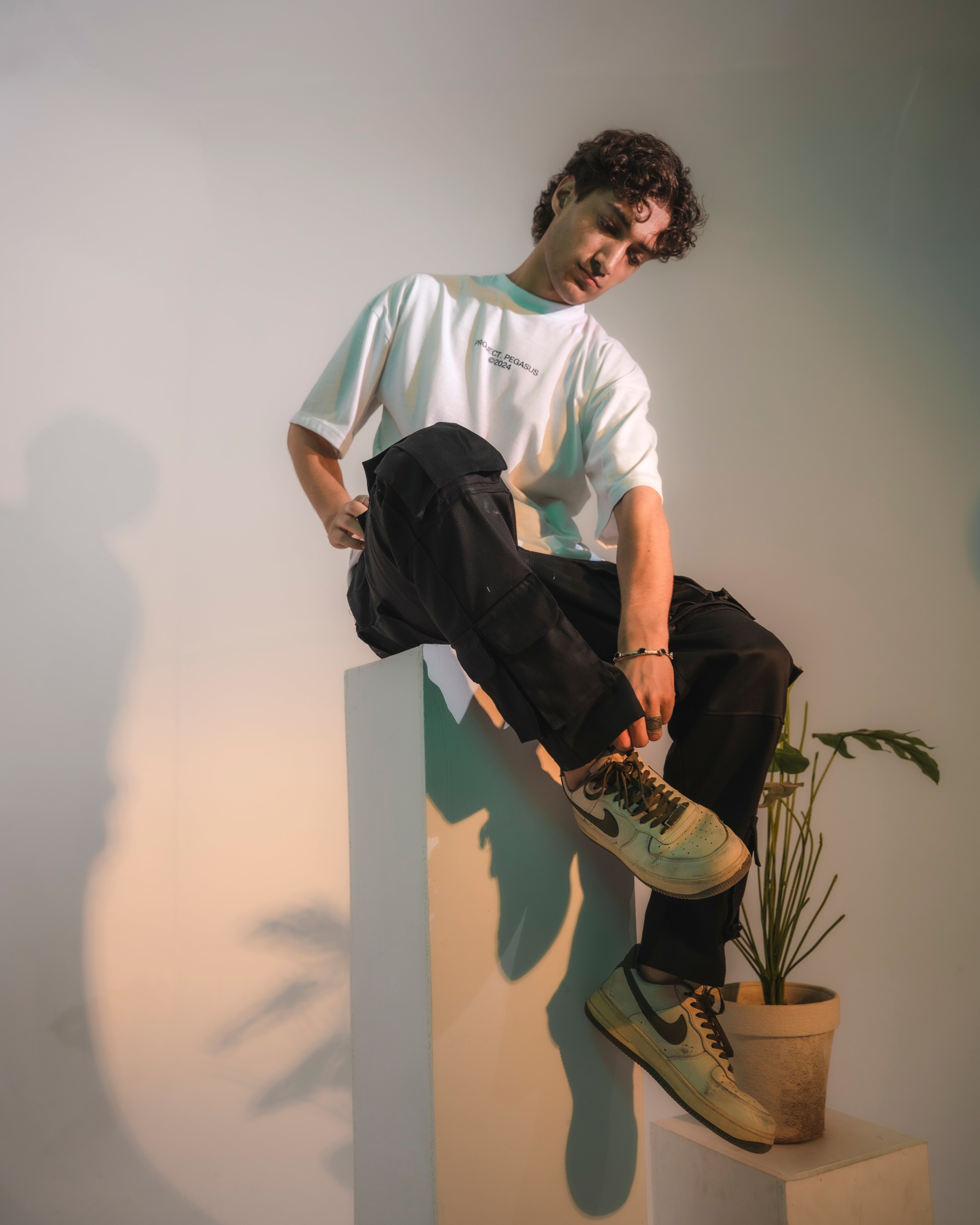 Star T-Shirt Pegasus