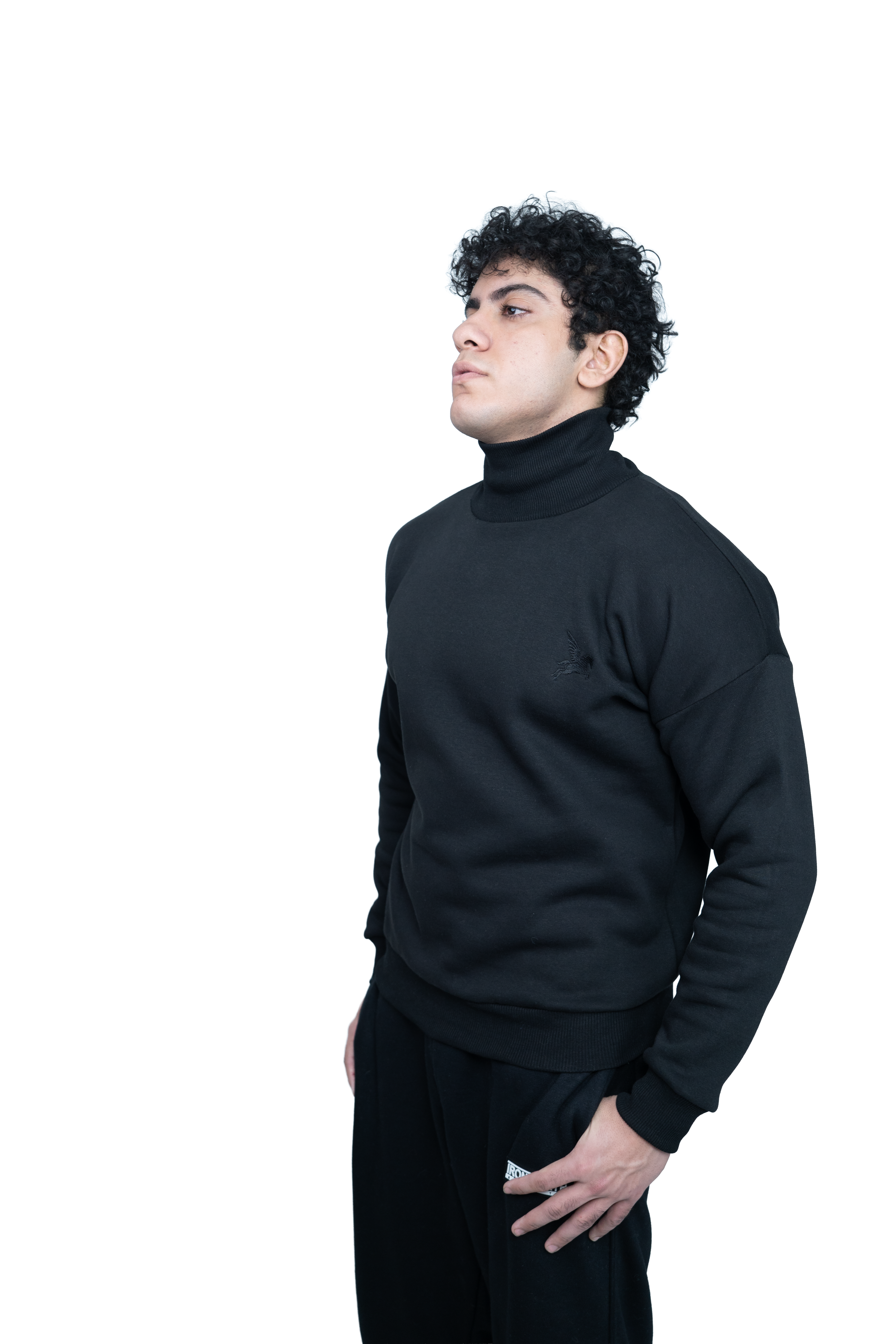 Heritage Premium Sweatshirt Project Pegasus