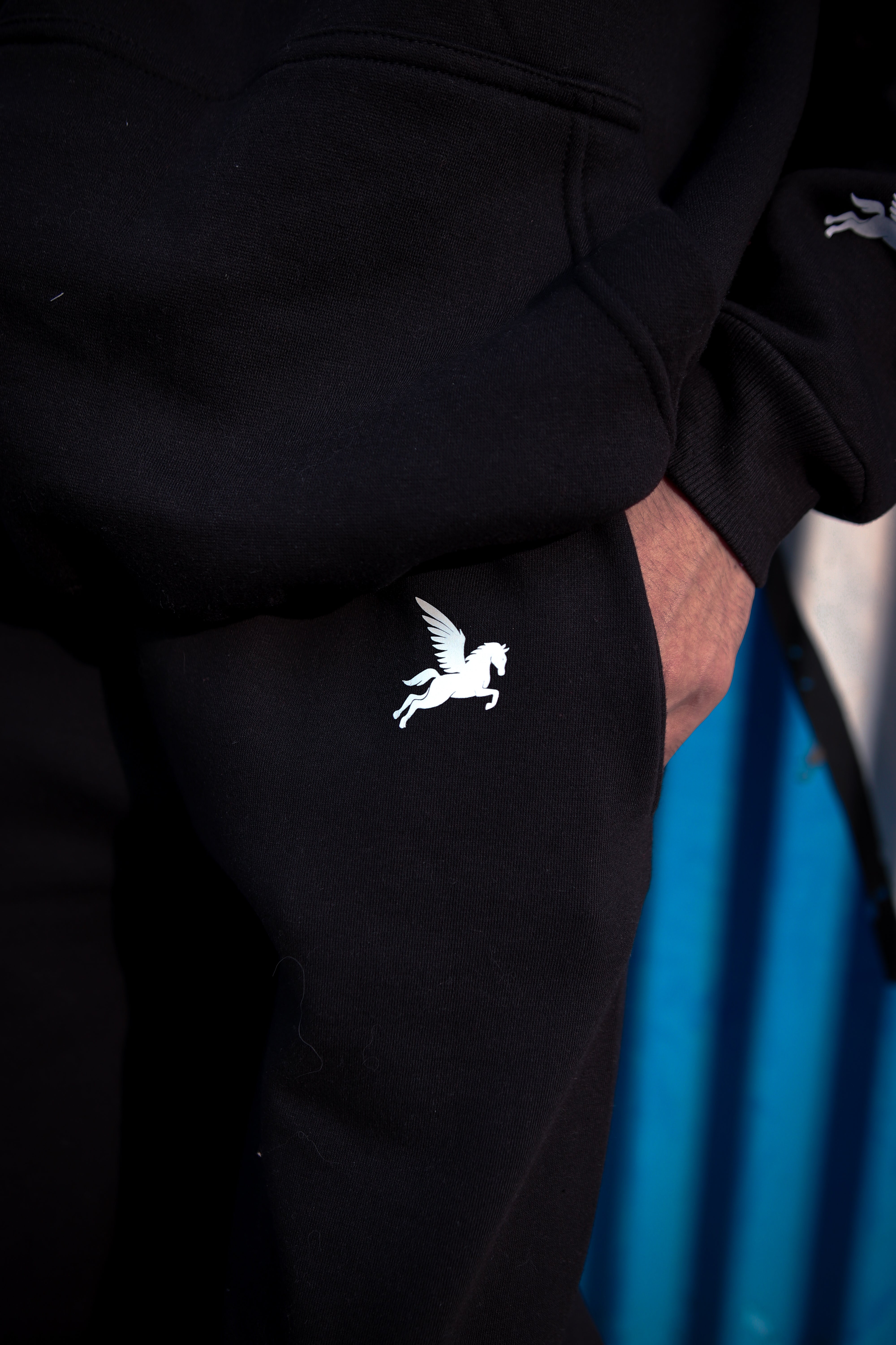 SPACESHIP TROUSER Pegasus