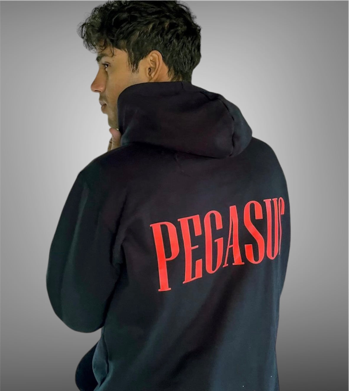 You're Rich Hoodie Pegasus