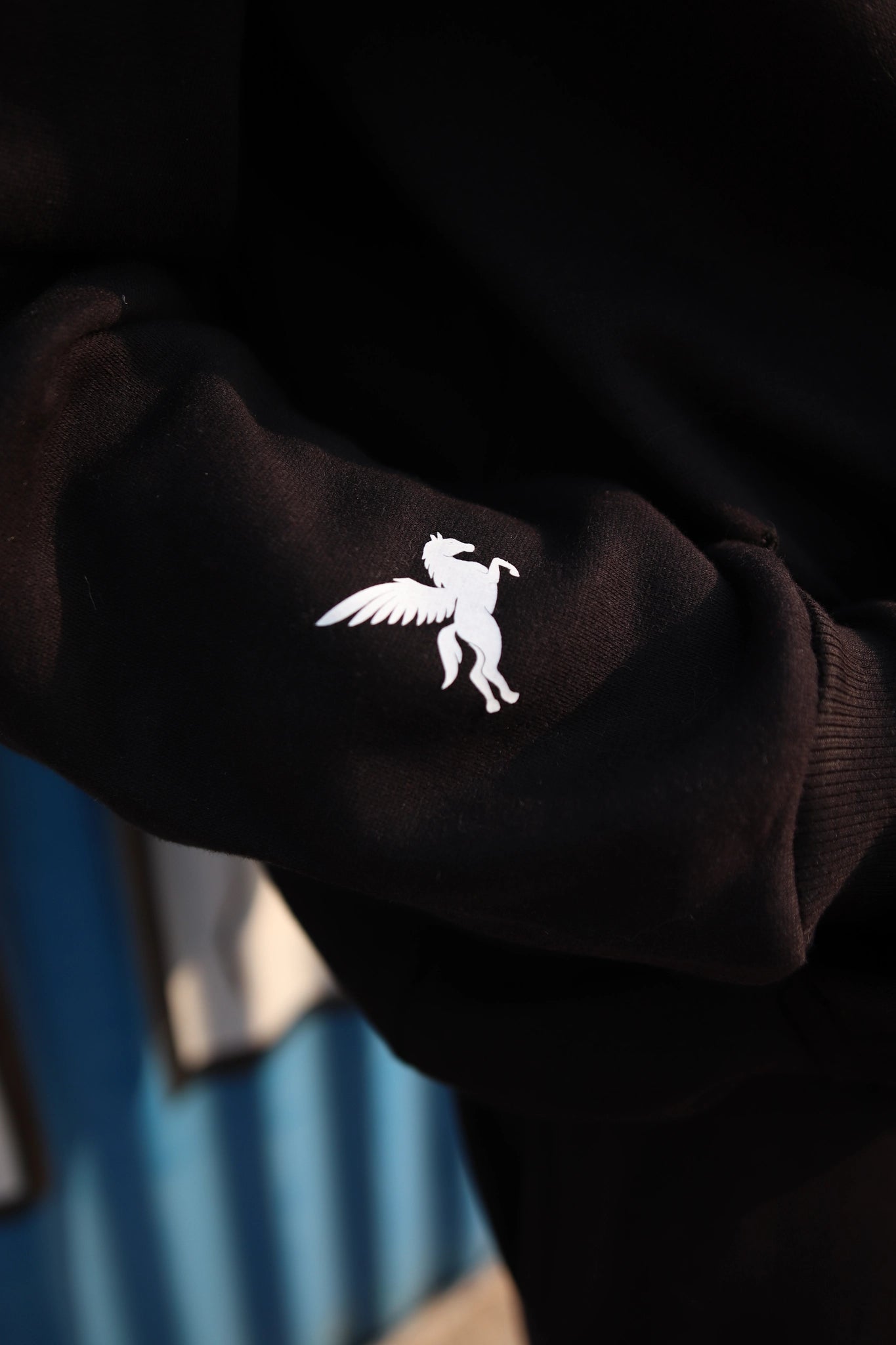 Spaceship Hoodie Pegasus