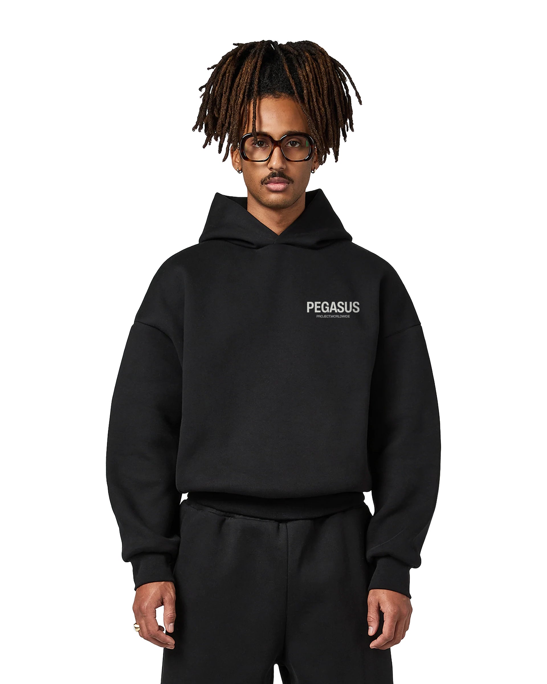 Worldwide- Pullover Hoodie Pegasus