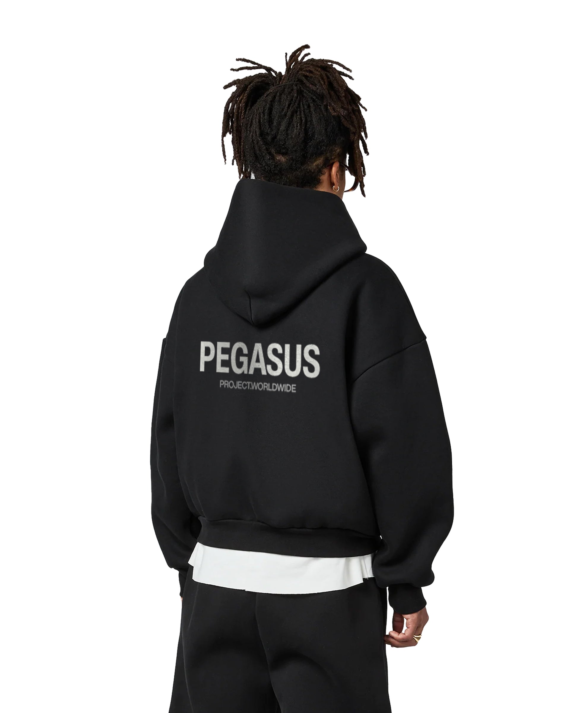 Worldwide- Pullover Hoodie Pegasus