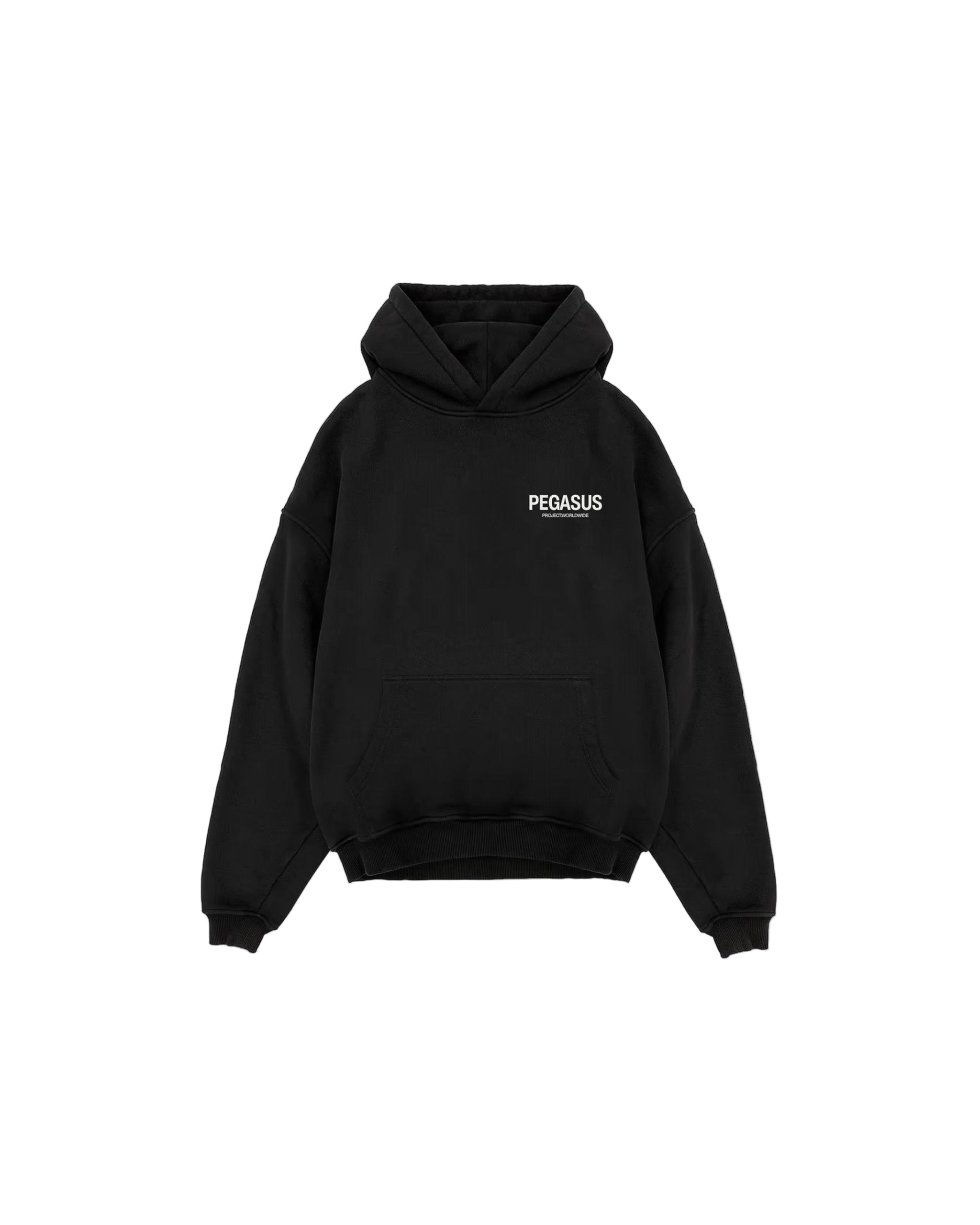 Worldwide- Pullover Hoodie Pegasus