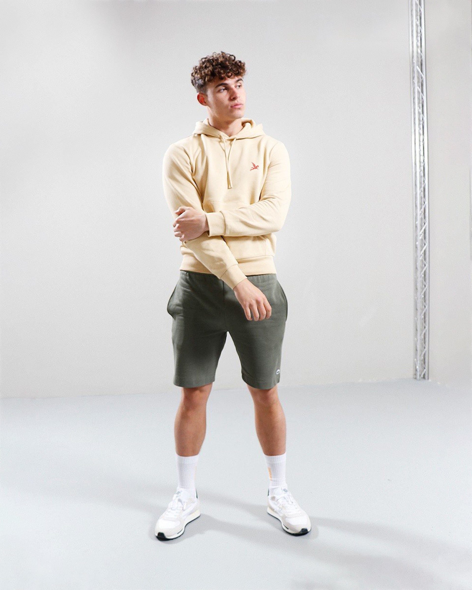 Beige Hoodie Pegasus