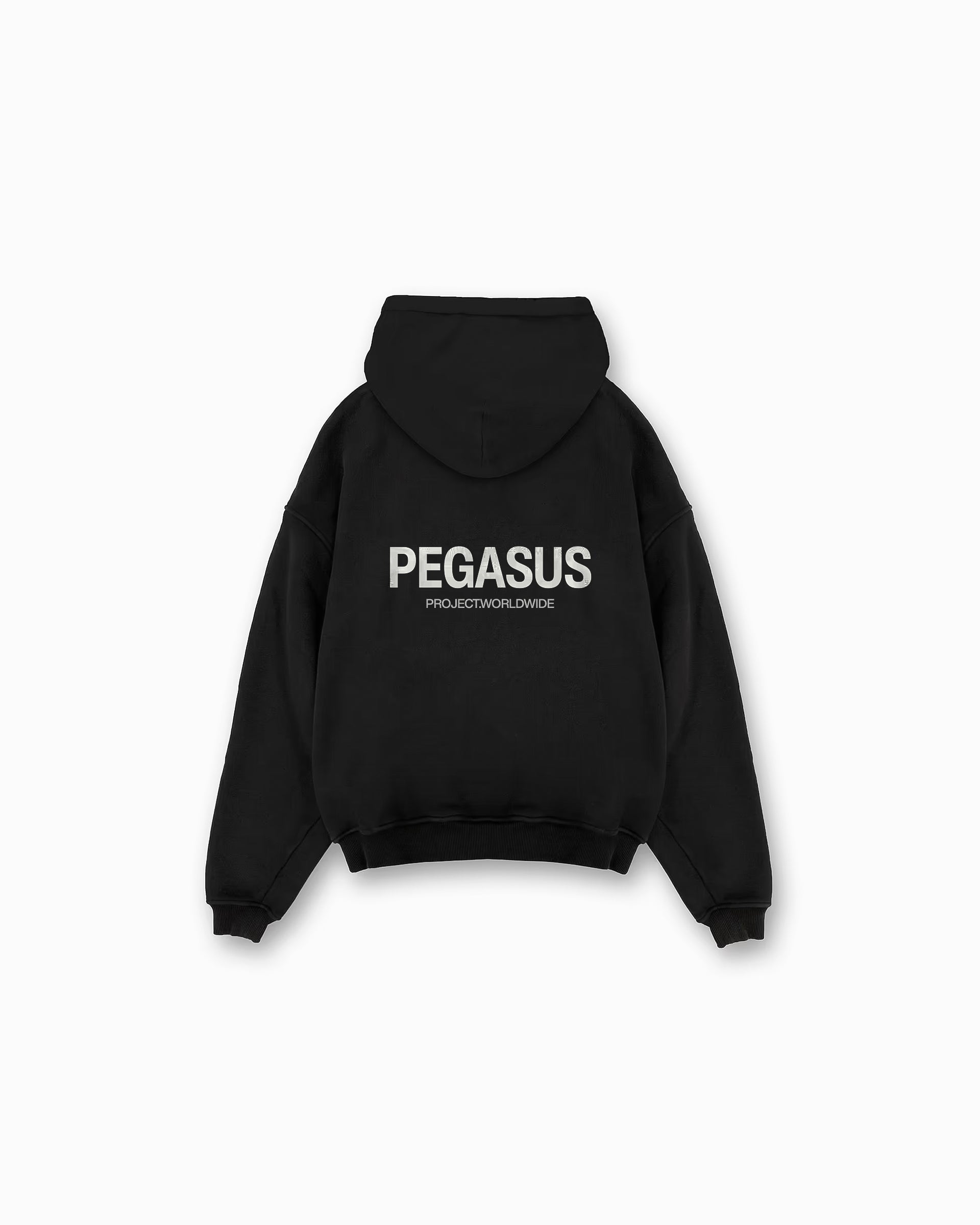 Worldwide- Pullover Hoodie Pegasus