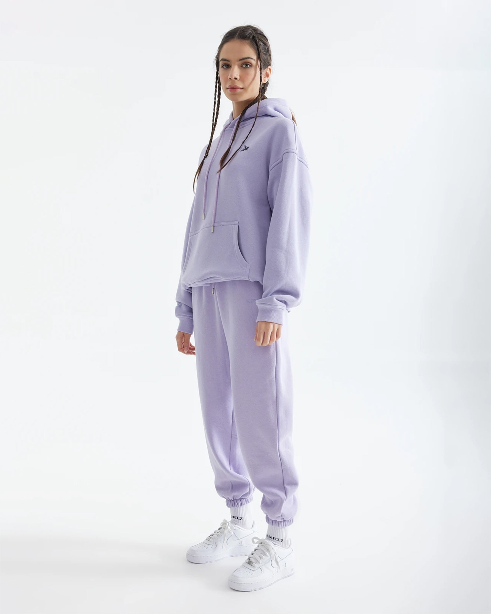 Purple Hoodie Pegasus