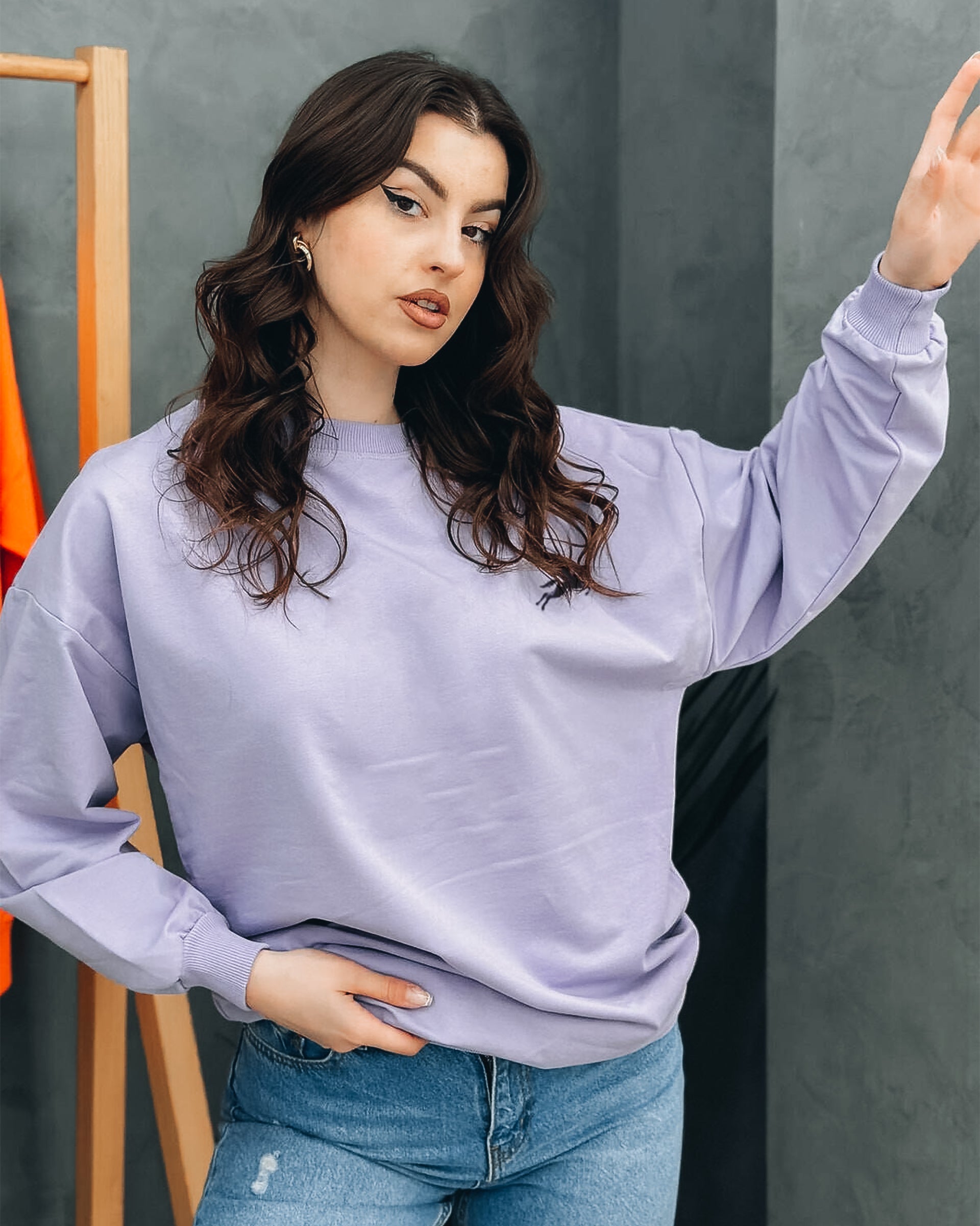 Purple Sweatshirt Pegasus