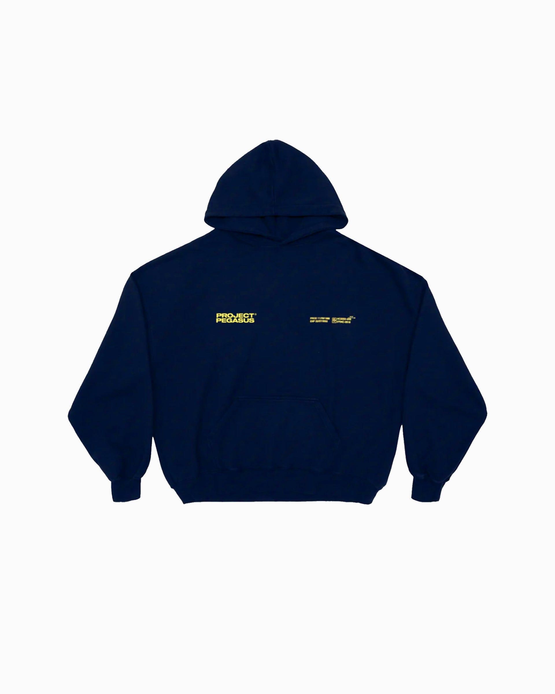 22/07/2025- Pullover Hoodie Pegasus