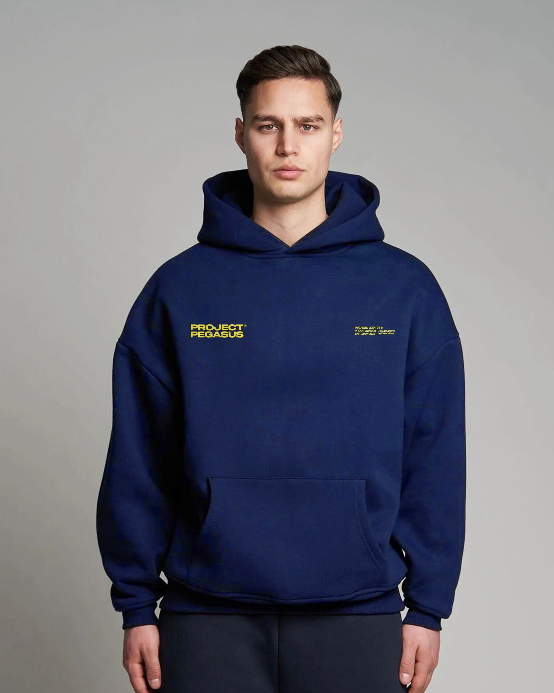22/07/2025- Pullover Hoodie Pegasus