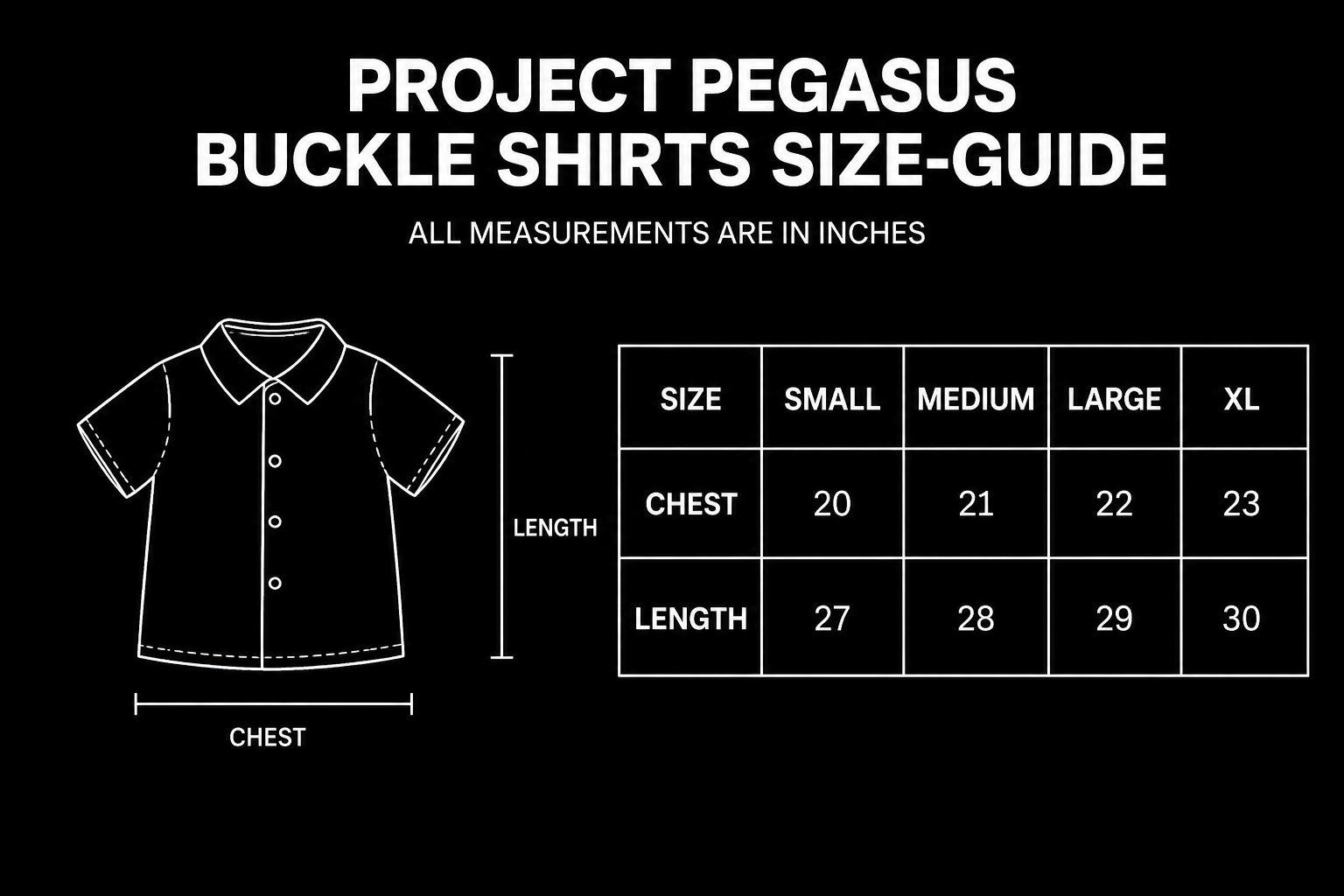 BUCKLE BUTTON DOWN SHIRT Project Pegasus