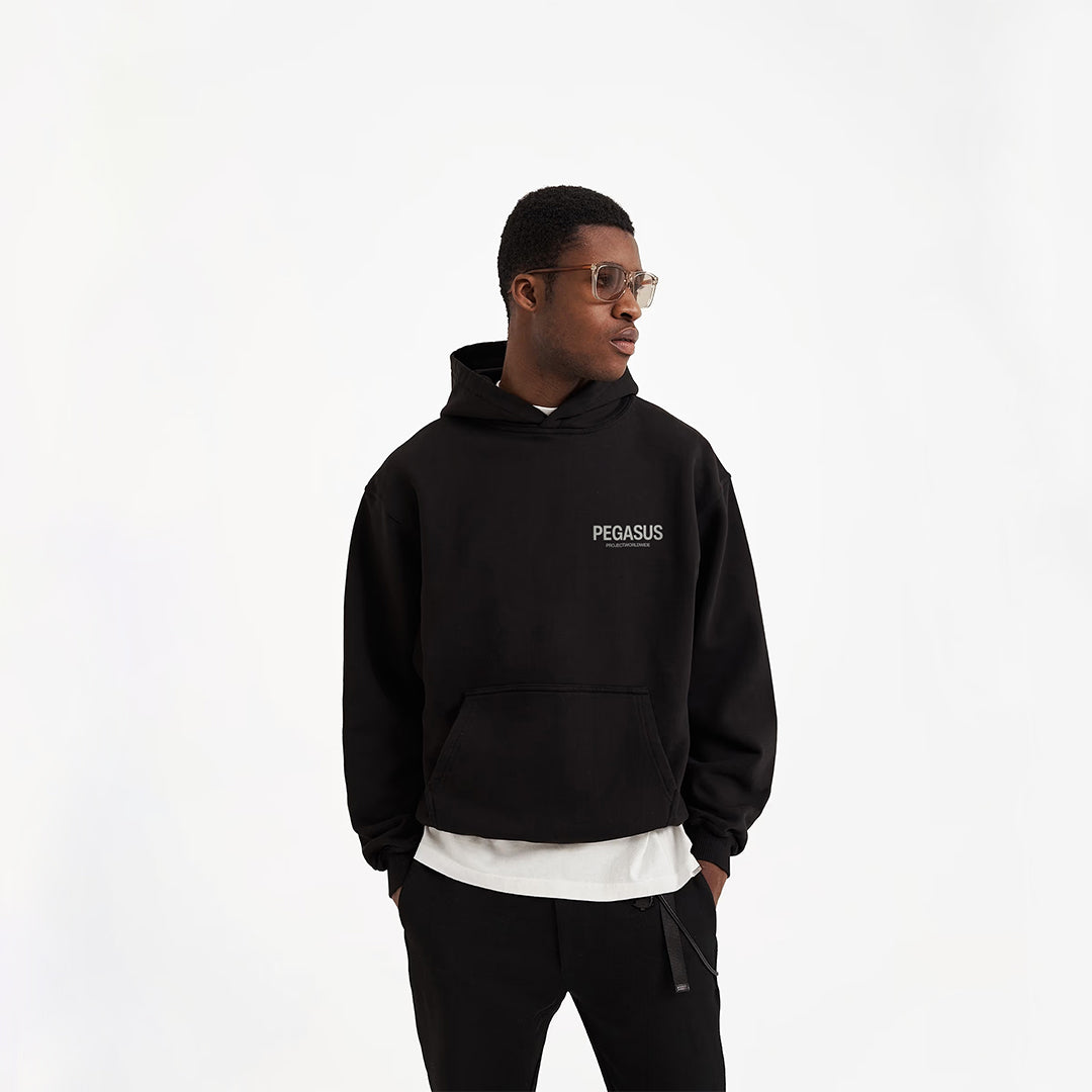 Worldwide- Pullover Hoodie Pegasus