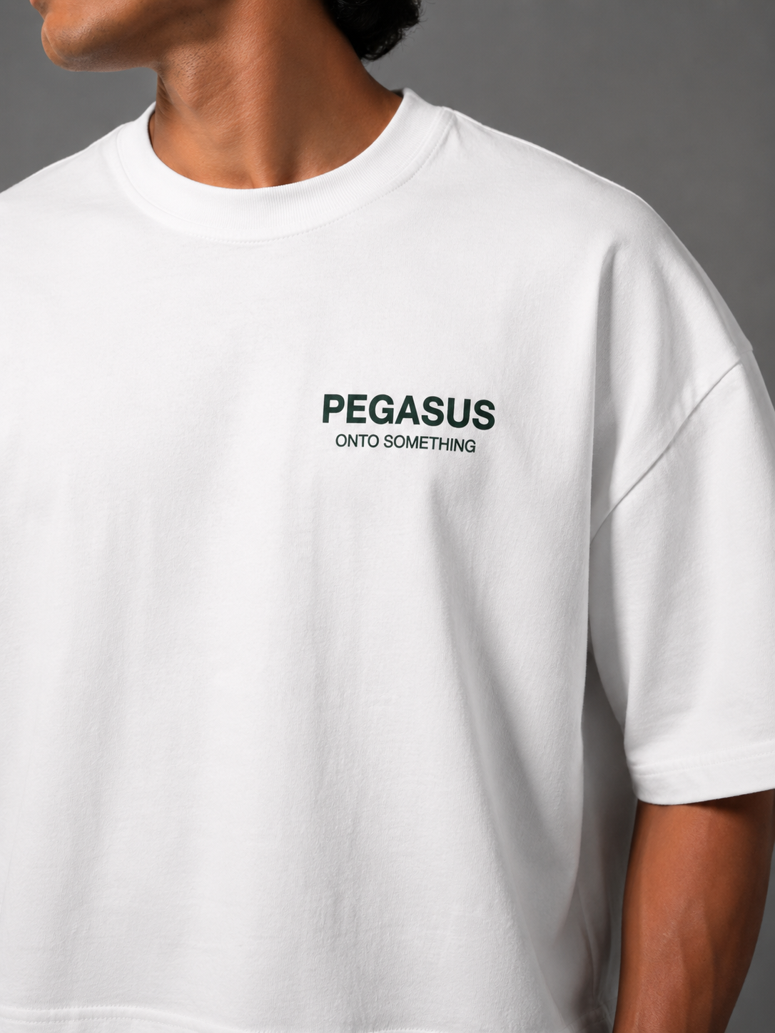 Pegasus Creators Club Project Pegasus
