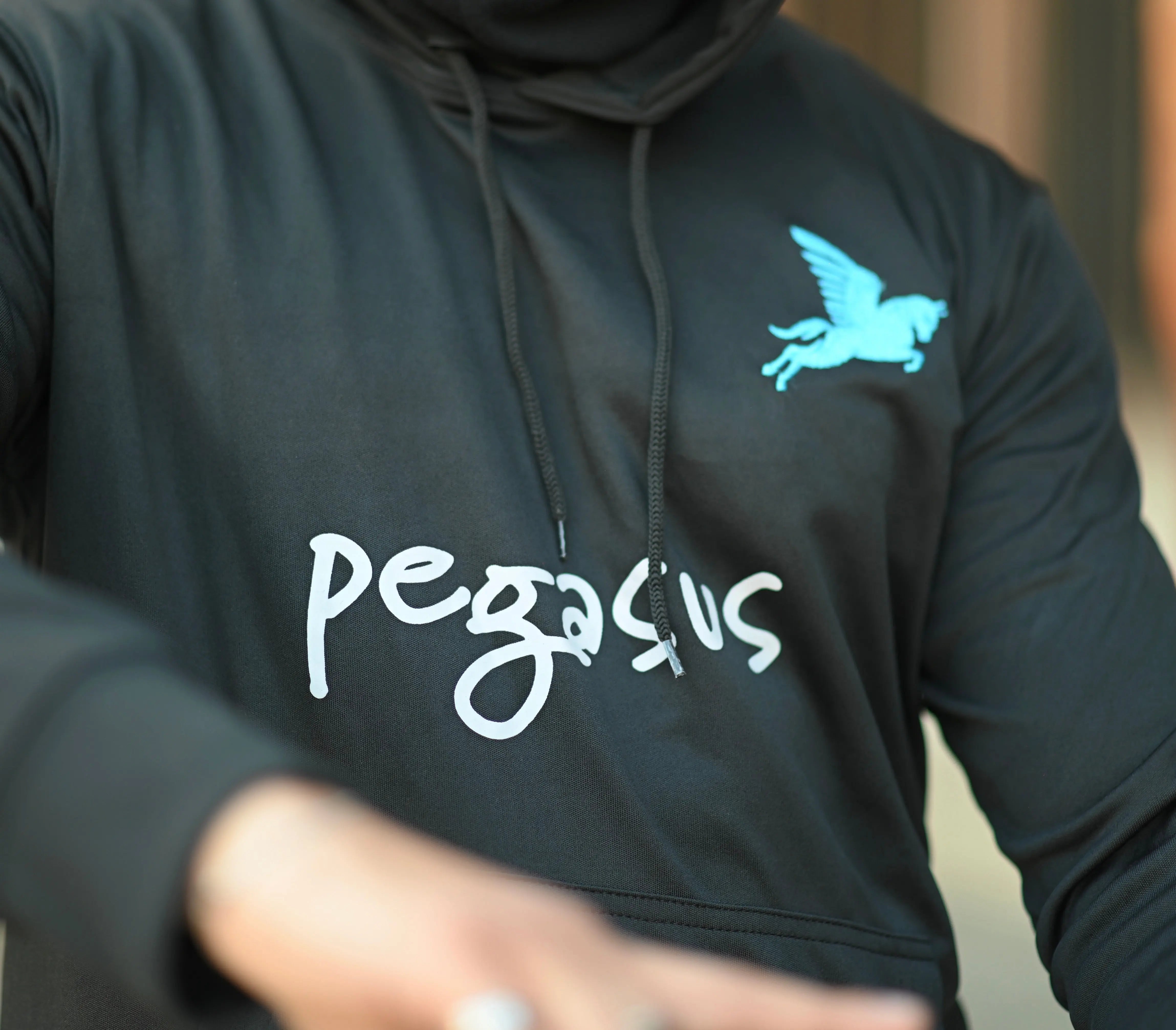 The-Newest-Streetwear-Brand-on-the-Block Pegasus