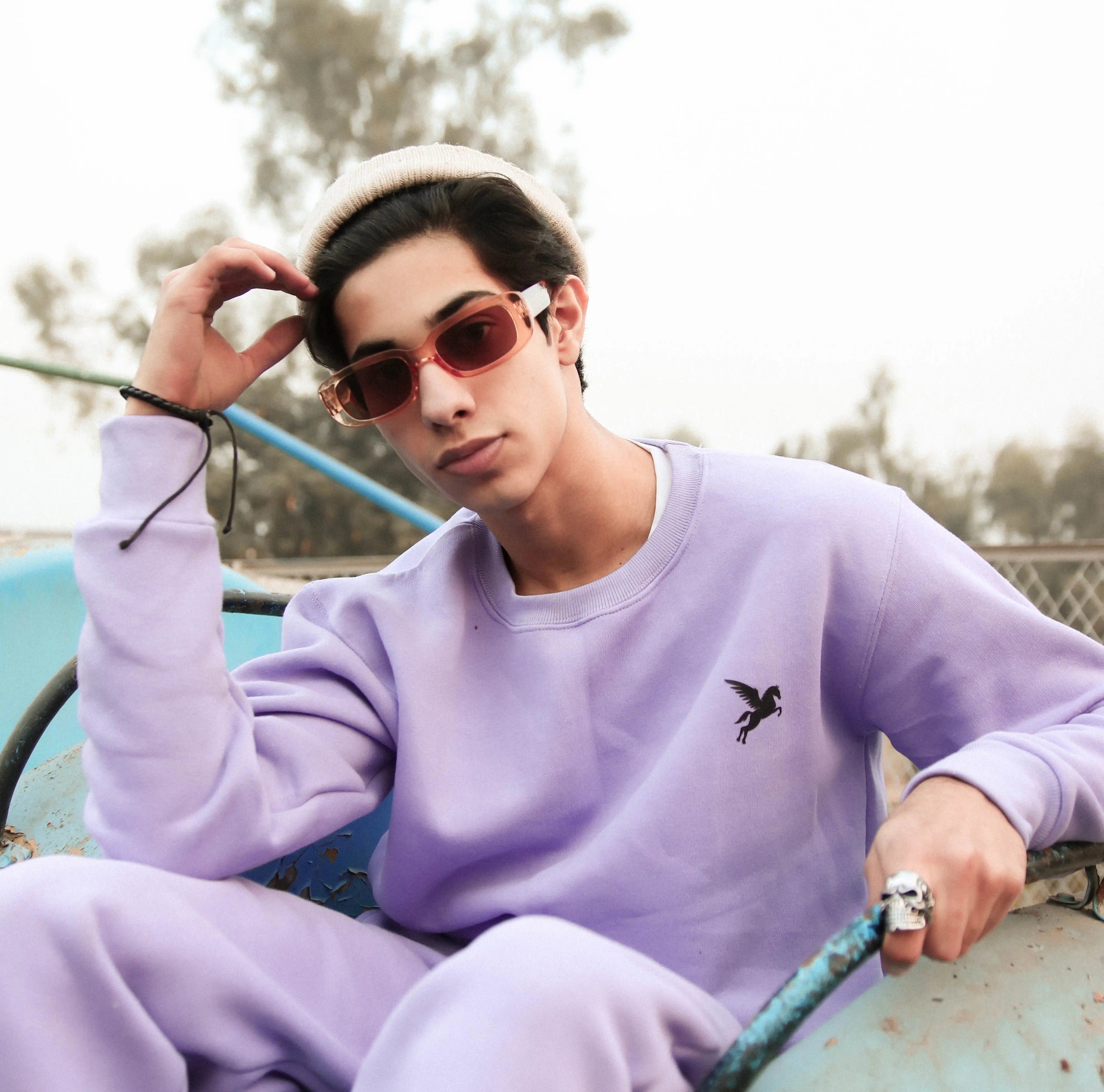 Best-Men-s-Sweatshirts-in-2024 Pegasus