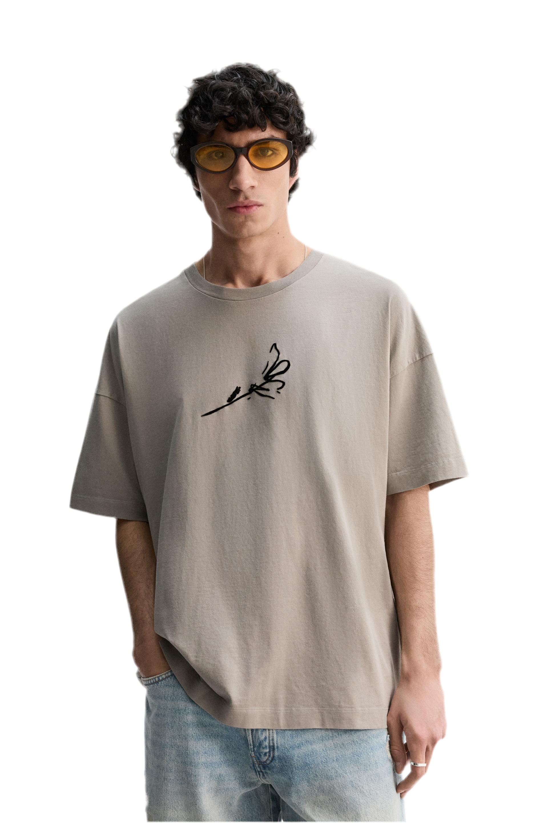 Graphic Print T-Shirt Pegasus