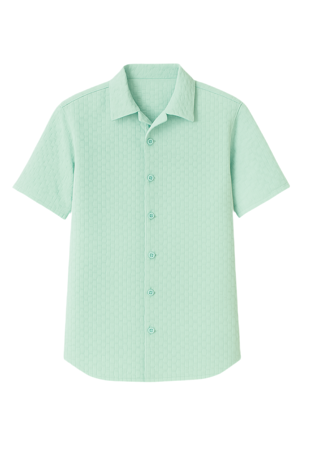 TEXTURED SHIRT- SKY BLUE Pegasus