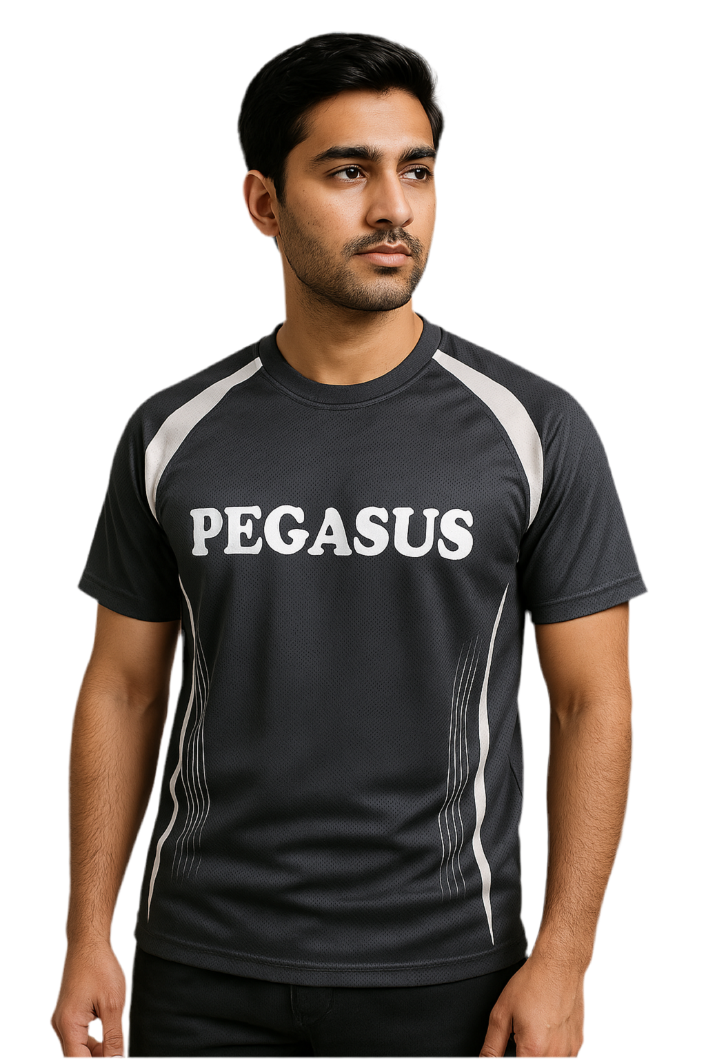PEGASUS INTERLOCK JERSEY Pegasus