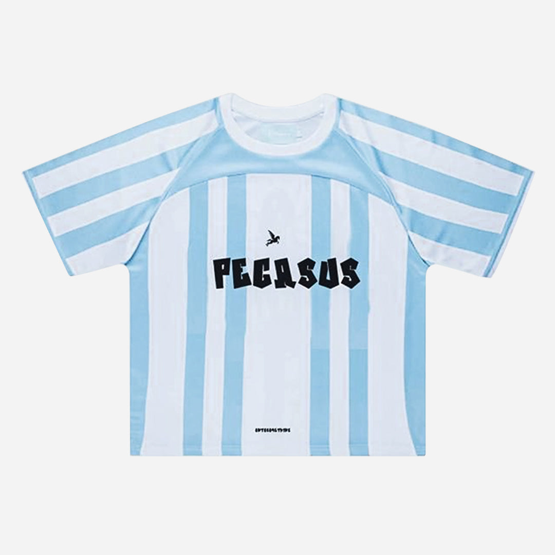 PEGASUS INTERLOCK JERSEY