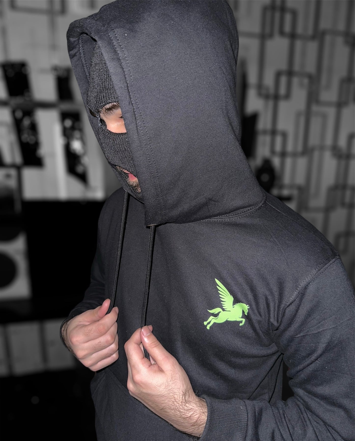 SIGNATURE PEGASUS HOODIE