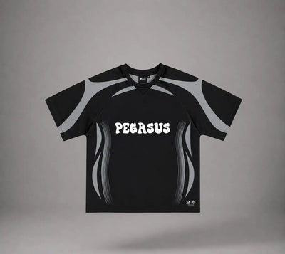 PEGASUS INTERLOCK JERSEY Project Pegasus