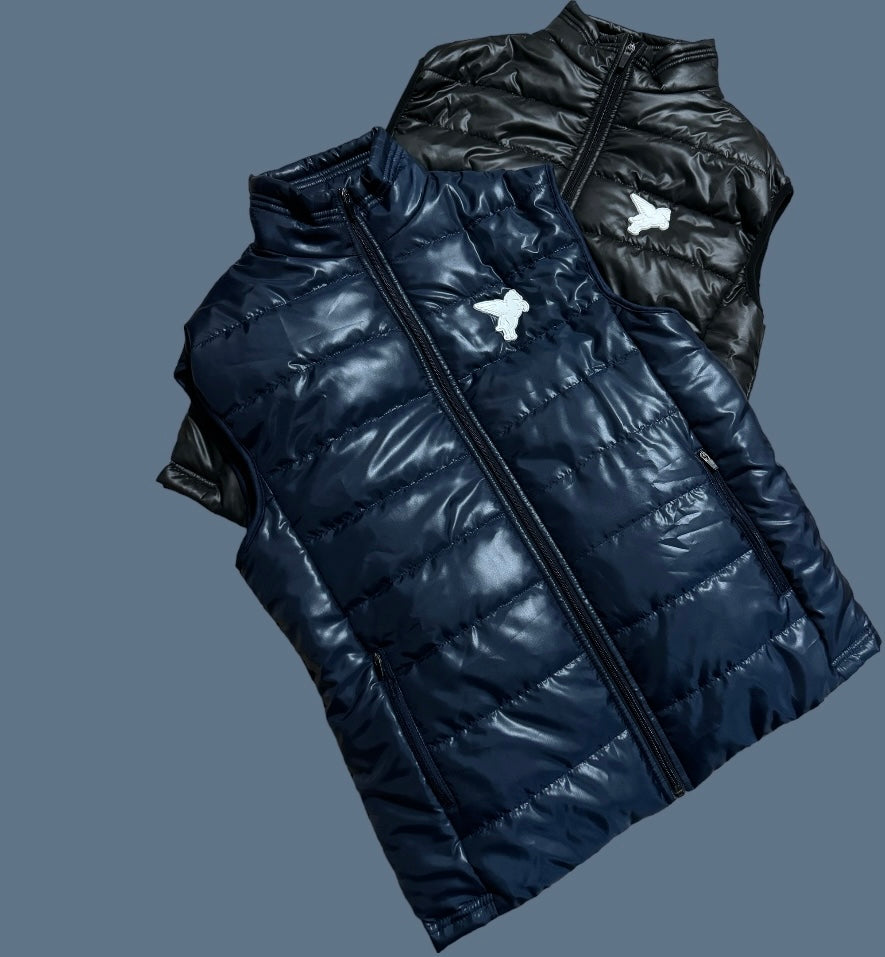 BLUE PEGASUS GILET