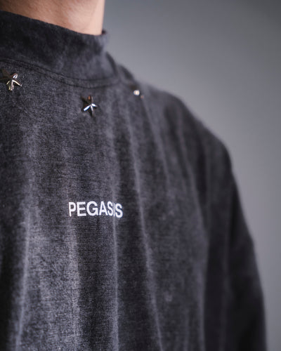 ACID WASH T-SHIRT - STAR EDITION Pegasus