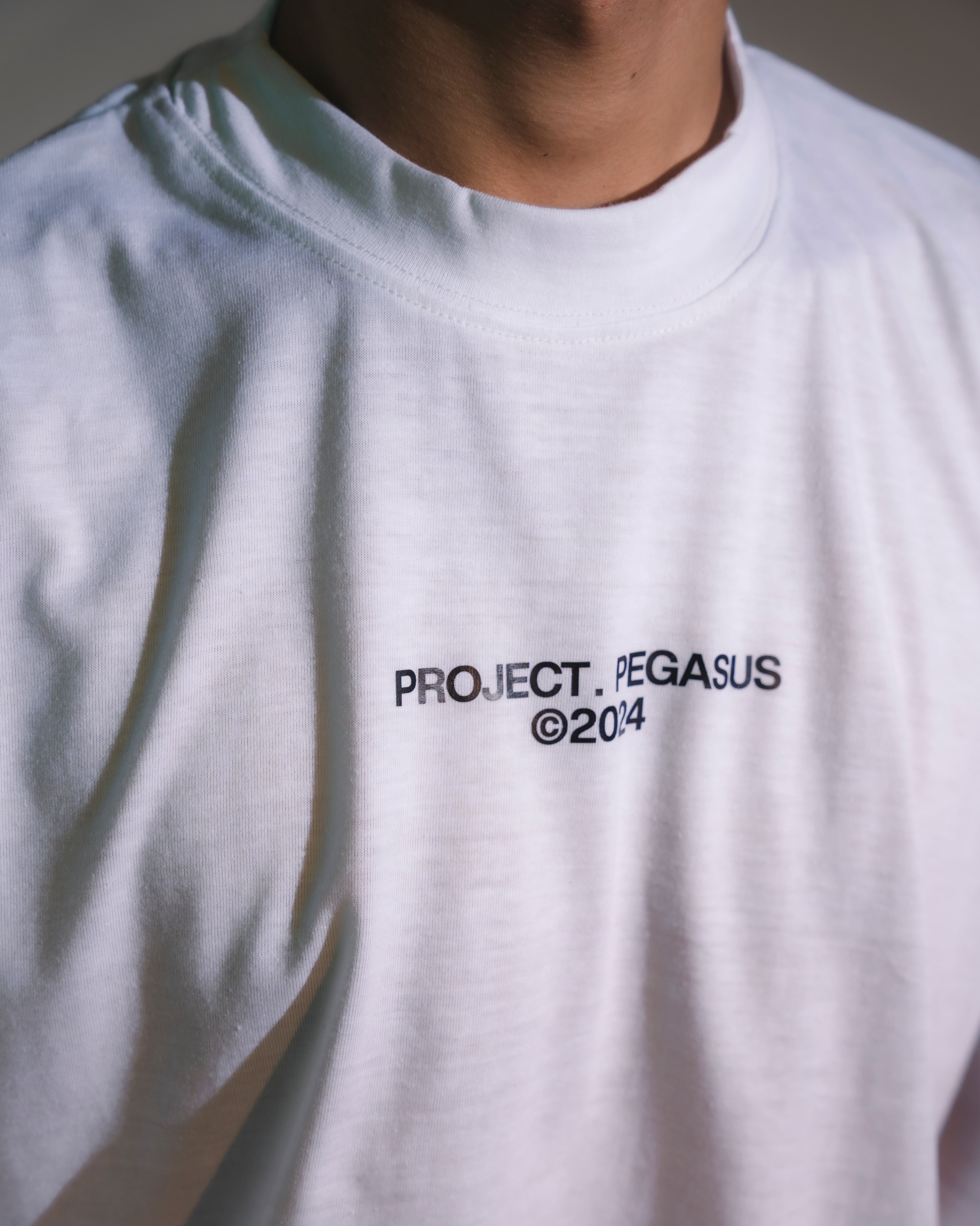 Star T-Shirt Pegasus