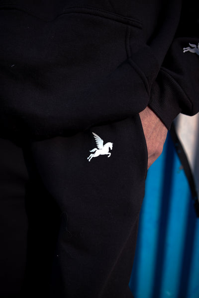 SPACESHIP TROUSER Pegasus
