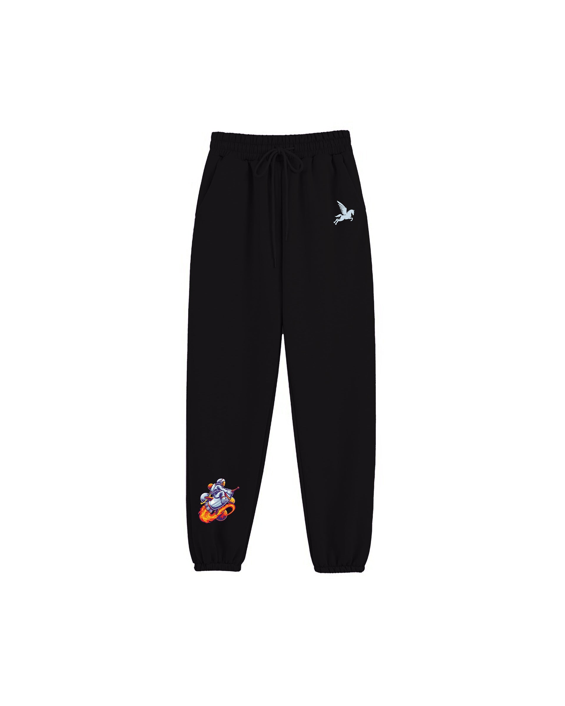 SPACESHIP TROUSER Pegasus