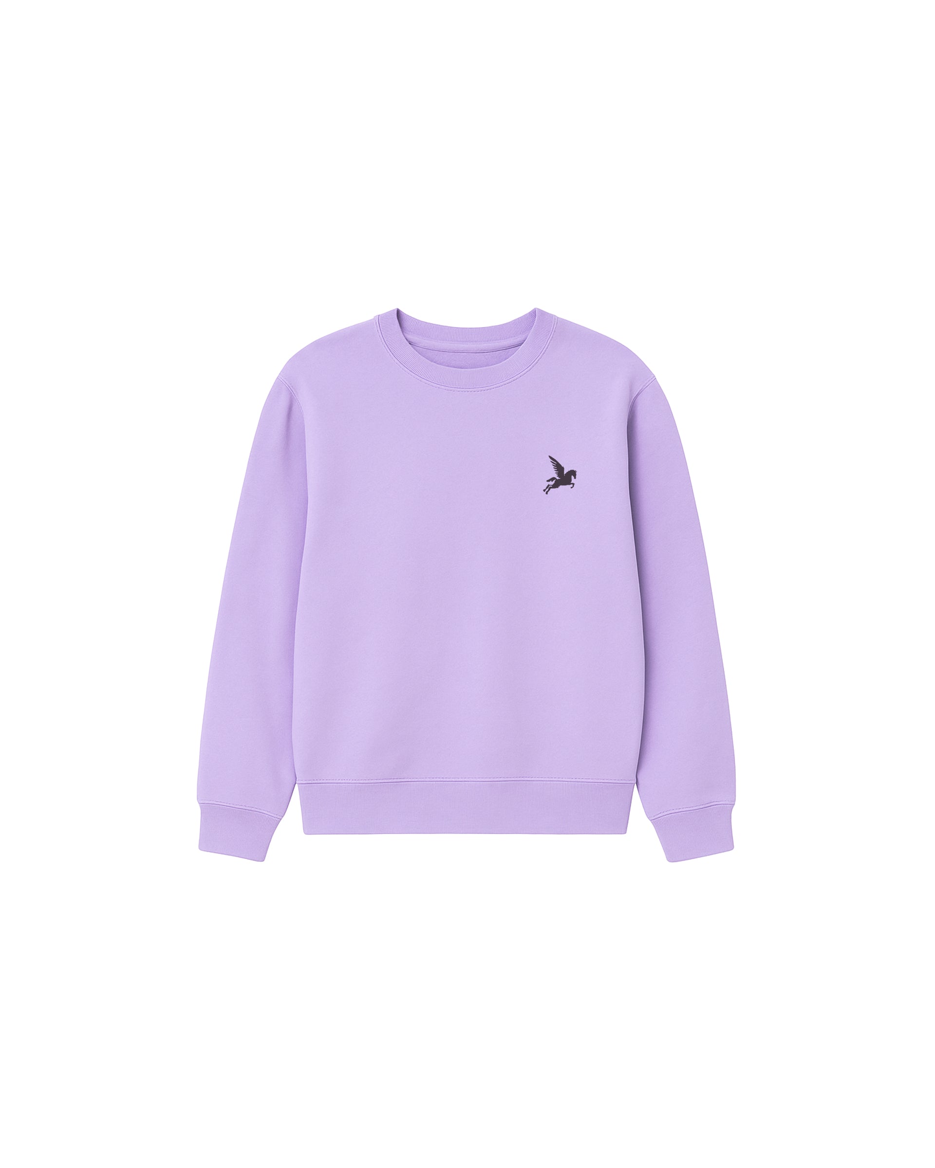 Purple Sweatshirt Pegasus