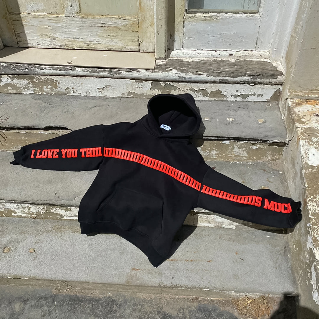 I Love You This Much Hoodie Project Pegasus