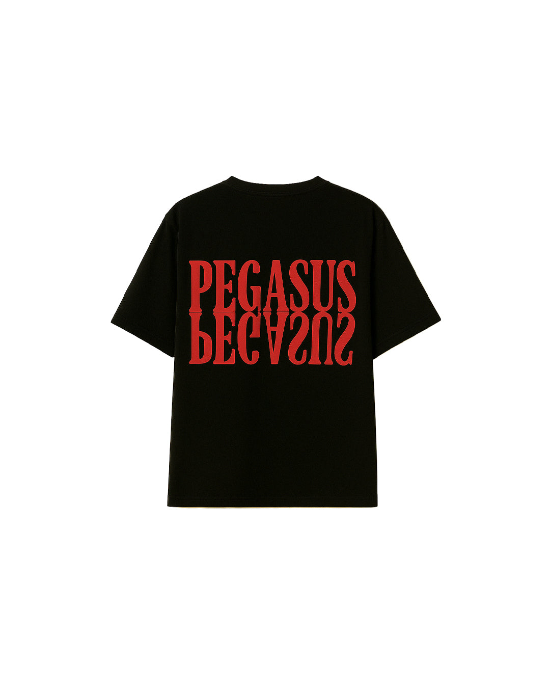 SPIDER T-SHIRT Project Pegasus