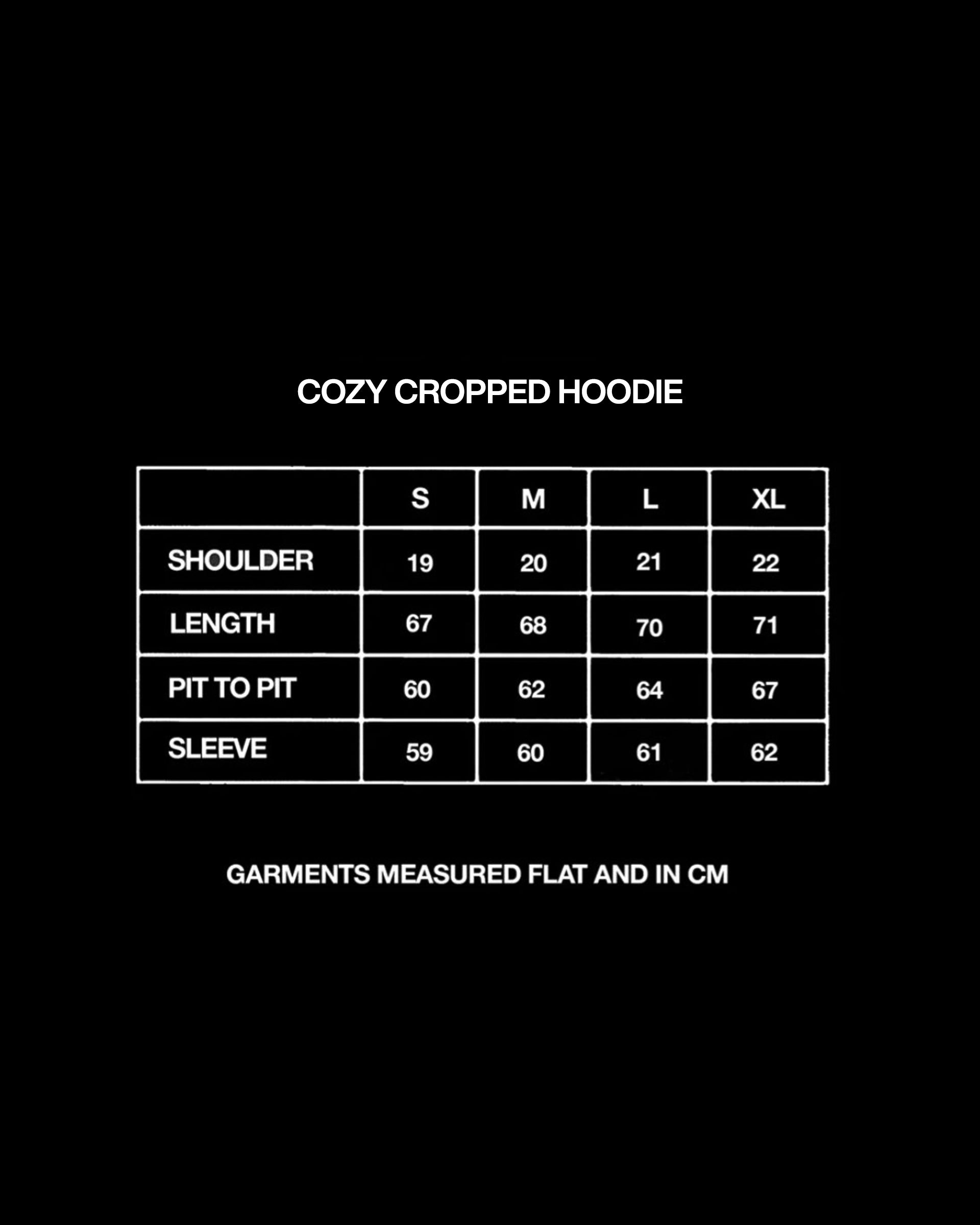 Cozy Cropped Hoodie - BLACK Project Pegasus