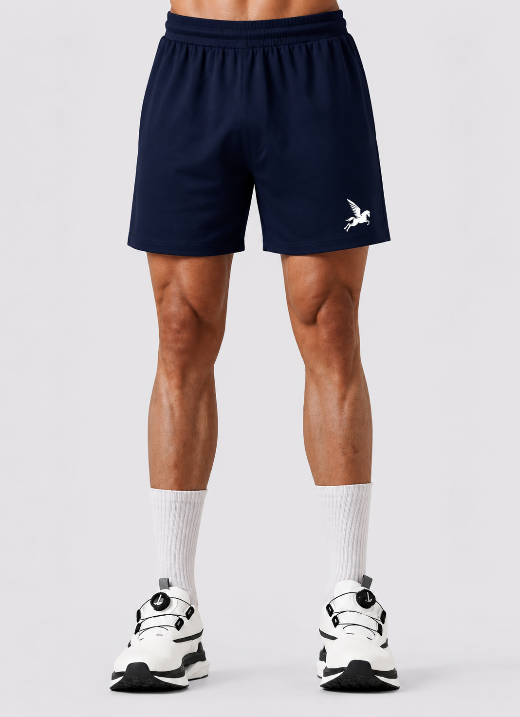 Navy Blue Basic Shorts Project Pegasus