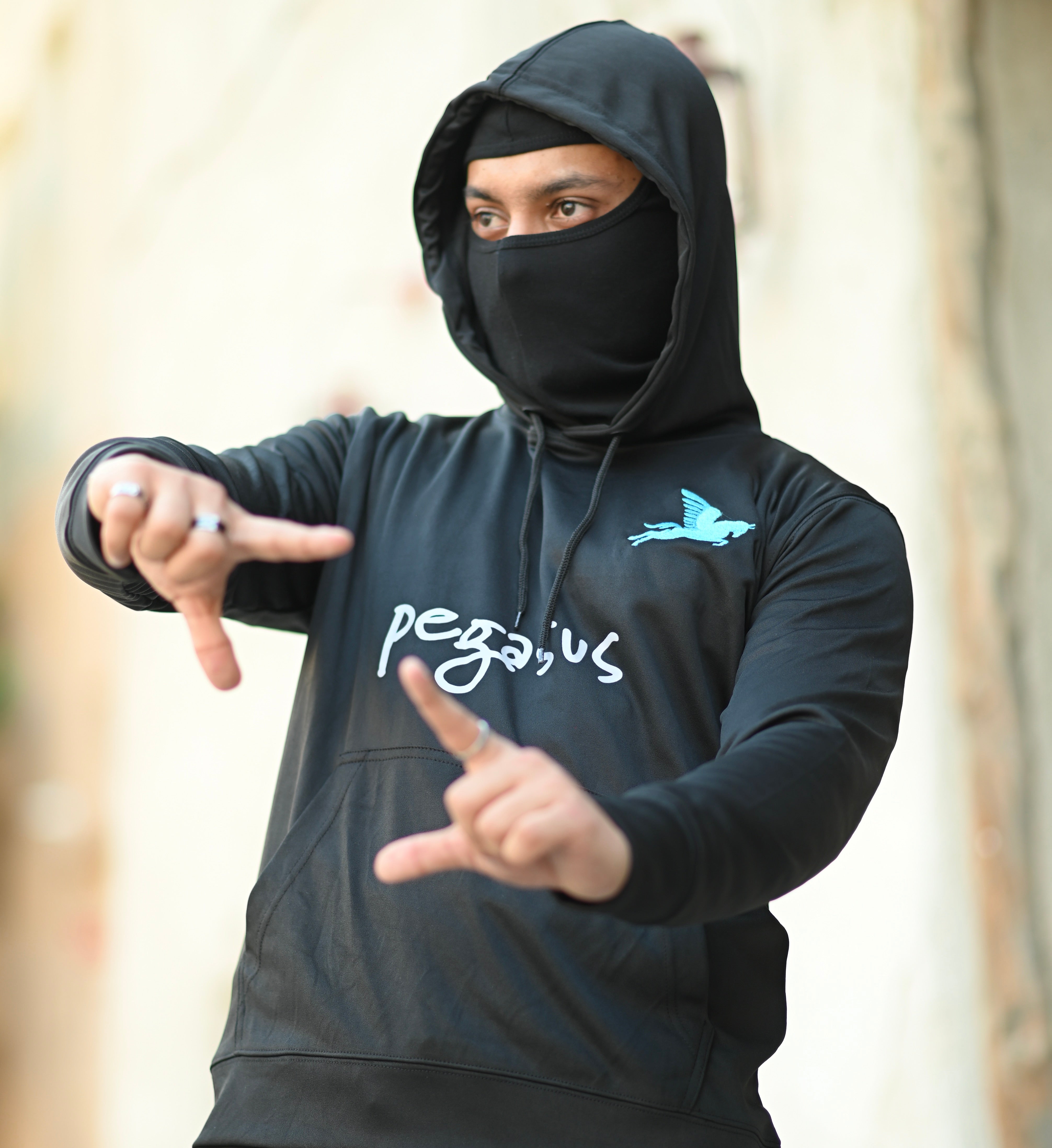 Rich Black Hoodie Pegasus